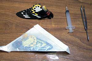 Papered Specimens