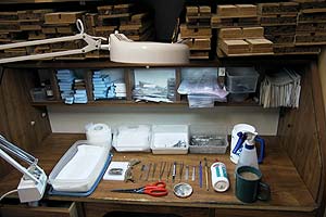Work Bench